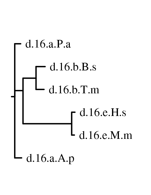layer 3 norm
