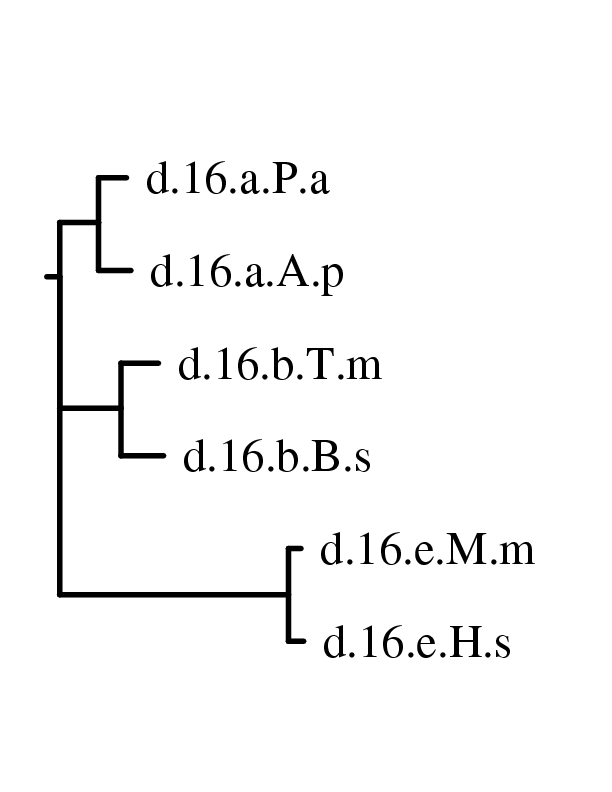 layer 3 norm
