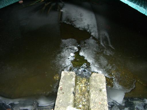 Original image
