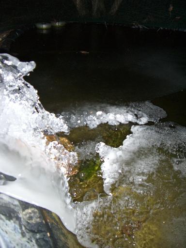 Original image