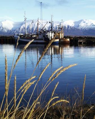 Dalvik, source : http://www.dalvikurbyggd.is/EN/About-Dalvik/