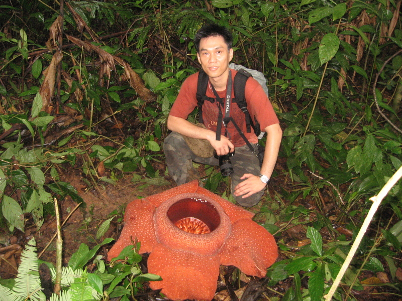 Trọng Hiếu with a Rafflesia, the biggest flower in the world