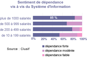 Les entreprise accros au SI