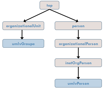 Schema de l'arbre