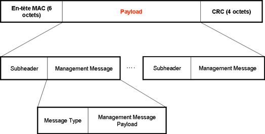 Illustration du payload