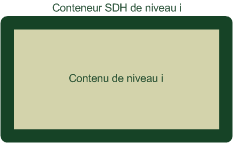 Sdh et WDM