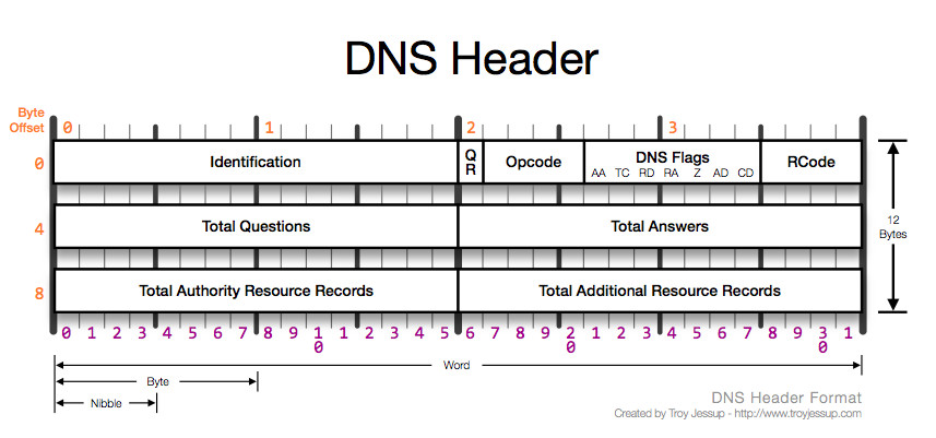 DNS Header