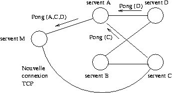 Le resserrement du maillage du r�seau Gnutella