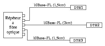 Rseau fibre optique avec 3 DTE