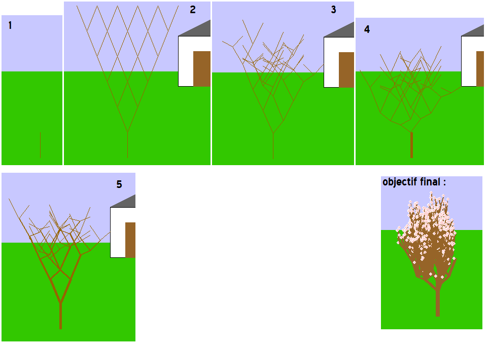 Images de l'arbre en construction