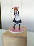 sample pictures