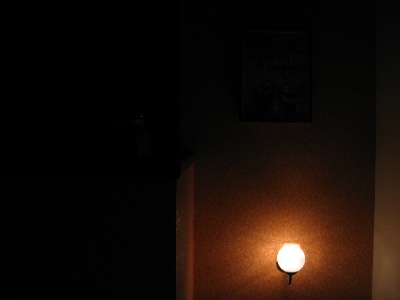 input image