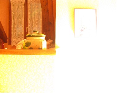 input image