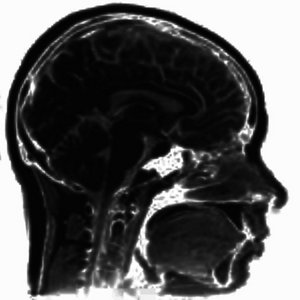 input image