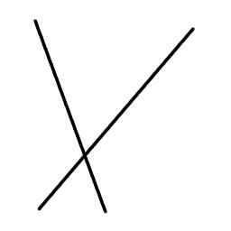 input image
