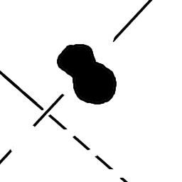 input image